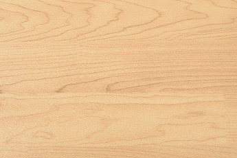 Линолеум Sportfloor pvc Wood 8.5 Дерево фото 1 | FLOORDEALER